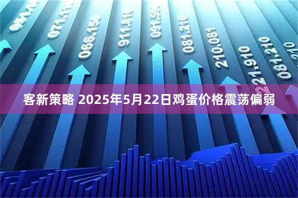 客新策略 2025年5月22日鸡蛋价格震荡偏弱