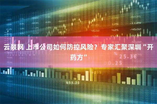 云燚网 上市公司如何防控风险?专家汇聚深圳“开药方”