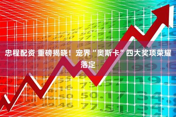 忠程配资 重磅揭晓！宠界“奥斯卡”四大奖项荣耀落定